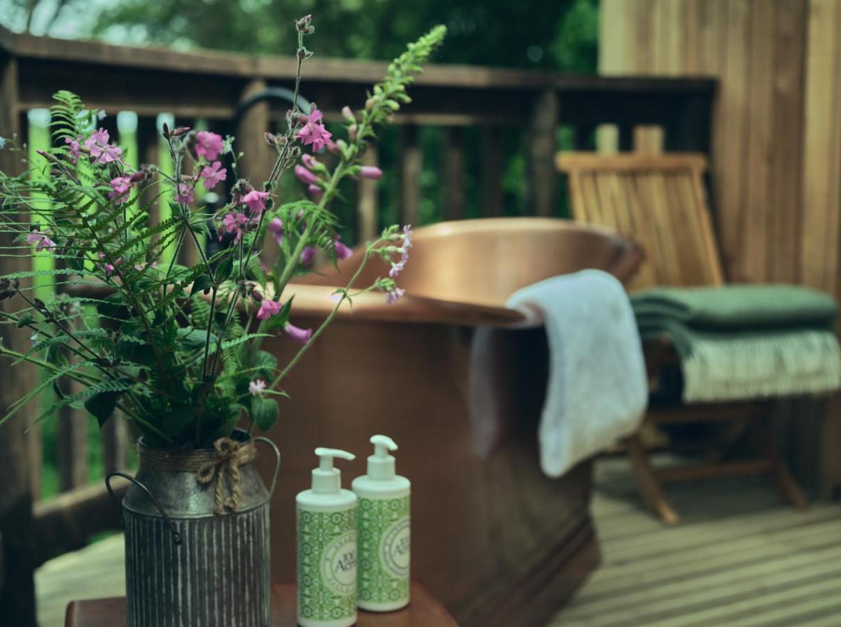 Hotel Wildhive Callow Hall Ashbourne (Derbyshire)
