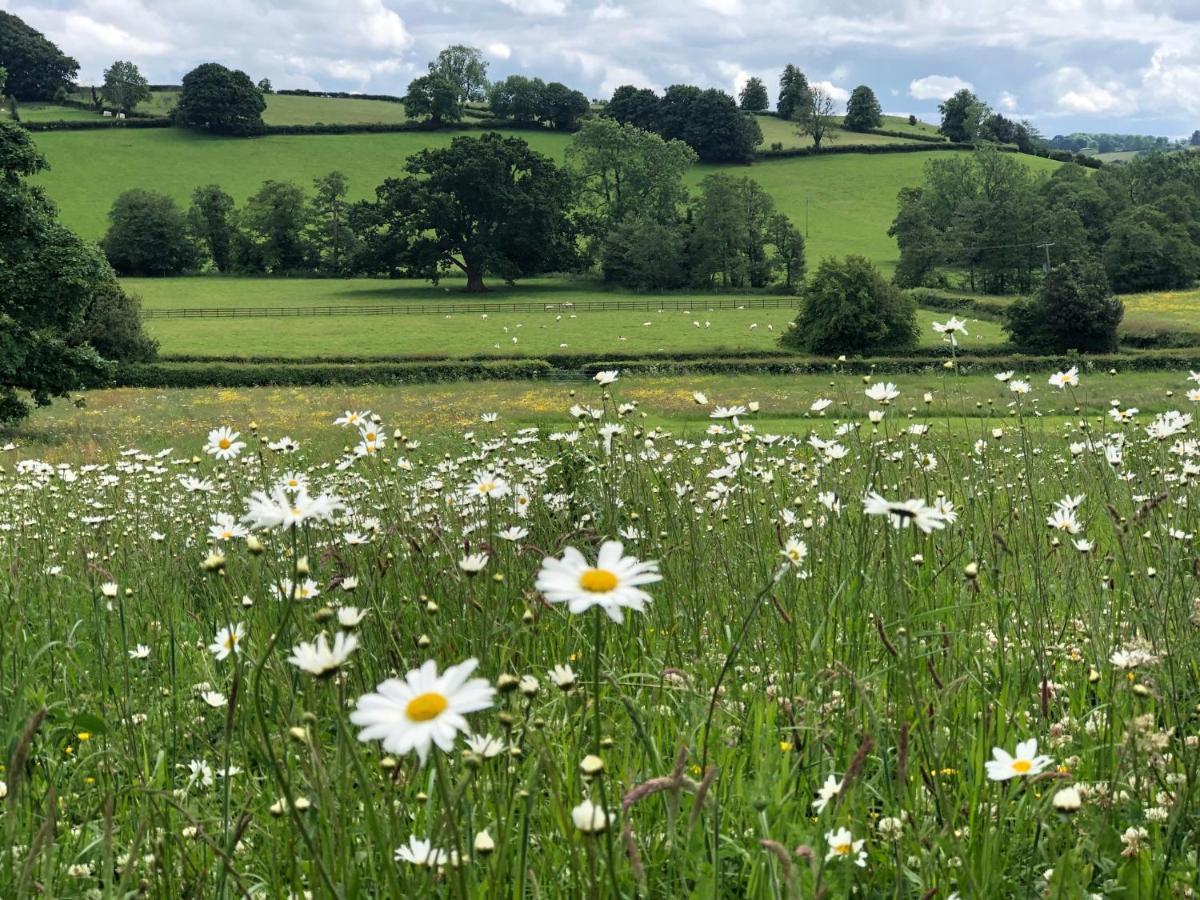 Hotel Wildhive Callow Hall Ashbourne (Derbyshire)