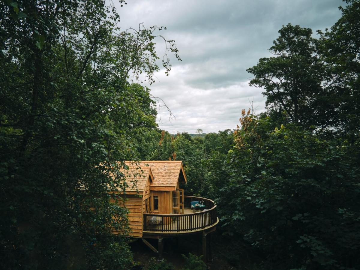 Hotel Wildhive Callow Hall