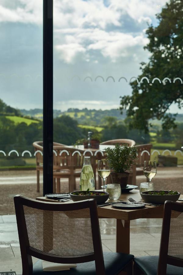 Wildhive Callow Hall Ashbourne (Derbyshire)