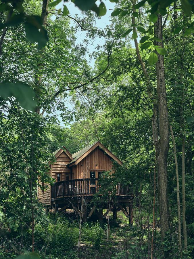 Wildhive Callow Hall *